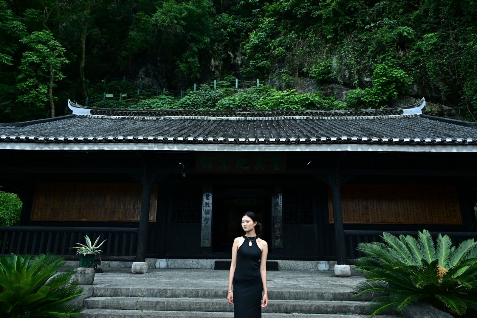 碧莲峰下，寻访千年唐韵