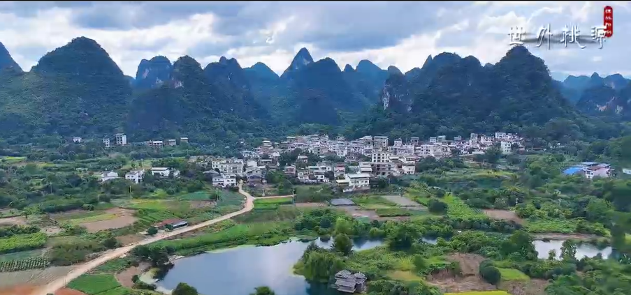 泛舟燕子湖，两岸翠竹丛生