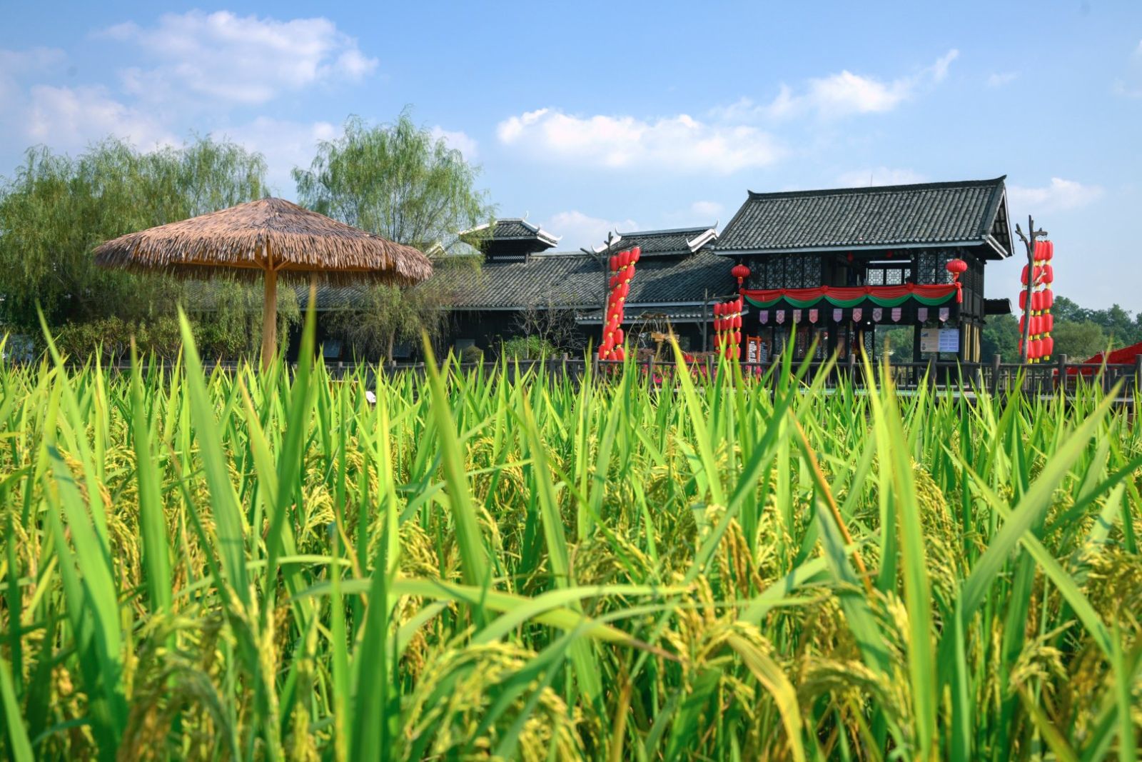 稻花香里说丰年